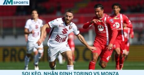 Soi kèo Torino vs Monza 02h00 ngày 02/09/2026